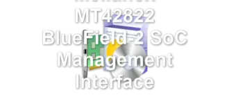 Mellanox MT42822 BlueField-2 SoC Management Interface