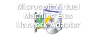 Microsoft Virtual Machine Bus Network Adapter