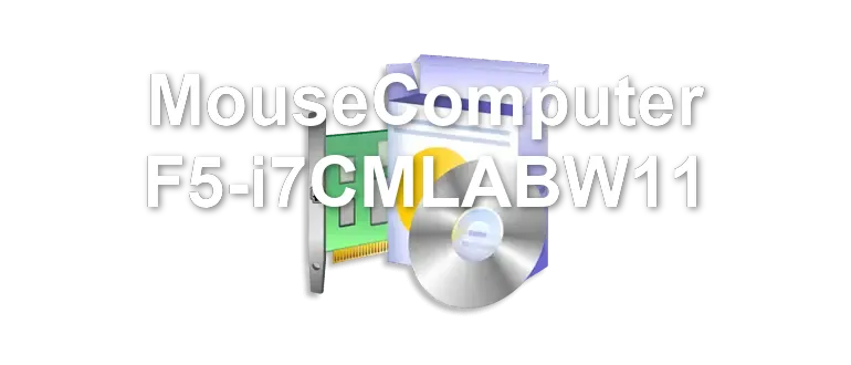 MouseComputer F5-i7CMLABW11