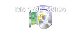 MS 179F SBIOS C