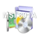 MSI 891A