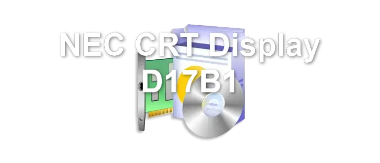 NEC CRT Display D17B1