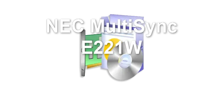NEC MultiSync E221W