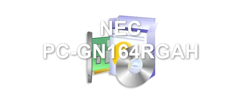 NEC PC-GN164RGAH