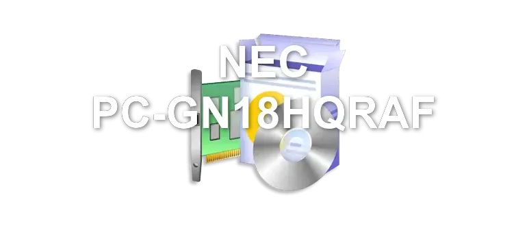 NEC PC-GN18HQRAF