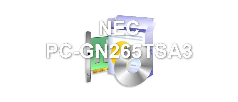 NEC PC-GN265TSA3