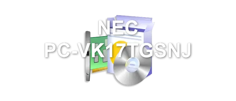NEC PC-VK17TGSNJ