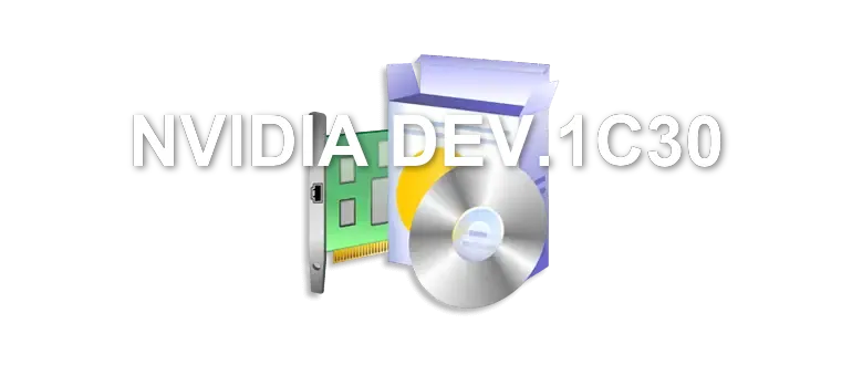 NVIDIA DEV.1C30