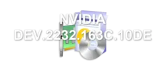 NVIDIA DEV.2232.163C.10DE