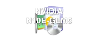 NVIDIA N10E-GLM5