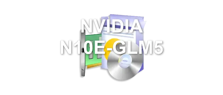 NVIDIA N10E-GLM5