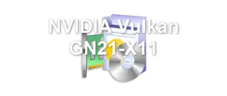 NVIDIA Vulkan GN21-X11