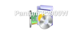 Pantum P2900W