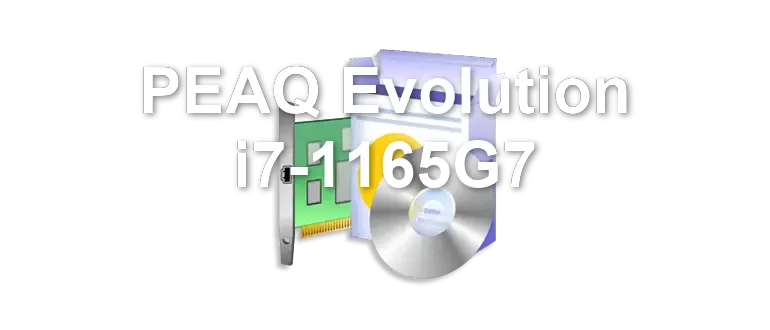 PEAQ Evolution i7-1165G7
