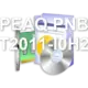 PEAQ PNB T2011-I0H2