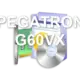 PEGATRON G60VX