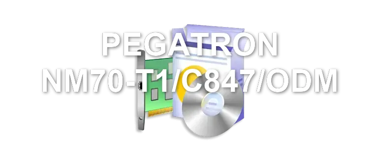 PEGATRON NM70-T1/C847/ODM