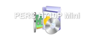 PERC H710P Mini