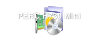 PERC H730 Mini