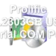 Prolific PL2303GB USB Serial COM Port