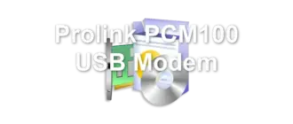 Prolink PCM100 USB Modem