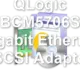 QLogic BCM5706S Gigabit Ethernet iSCSI Adapter