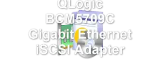 QLogic BCM5709C Gigabit Ethernet iSCSI Adapter