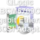 QLogic BCM5709C Gigabit Ethernet iSCSI Adapter