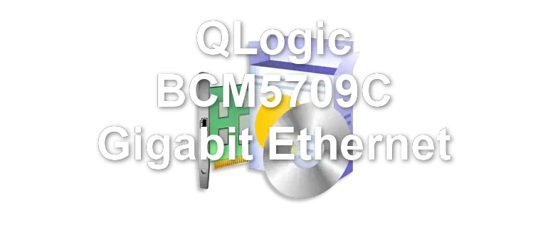 QLogic BCM5709C Gigabit Ethernet