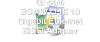 QLogic BCM57711E 10 Gigabit Ethernet iSCSI Adapter