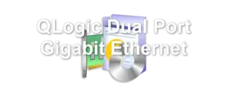 QLogic Dual Port Gigabit Ethernet