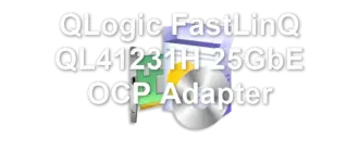 QLogic FastLinQ QL41231H 25GbE OCP Adapter