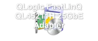 QLogic FastLinQ QL45211H 25GbE Adapter
