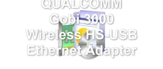 QUALCOMM Gobi 3000 Wireless HS-USB Ethernet Adapter
