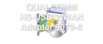 QUALCOMM HS-USB WWAN Adapter 9079-8