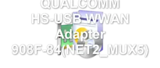 QUALCOMM HS-USB WWAN Adapter 908F-84(NET2_MUX5)