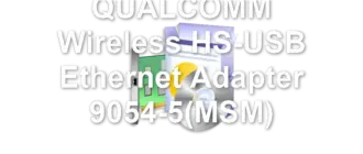 QUALCOMM Wireless HS-USB Ethernet Adapter 9054-5(MSM)