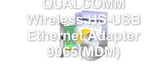 QUALCOMM Wireless HS-USB Ethernet Adapter 9065(MDM)