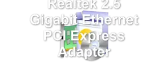 Realtek 2.5 Gigabit Ethernet PCI Express Adapter