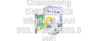 Realtek Changhong CWD450 2DI Wireless LAN 802.11ac USB3.0 NIC