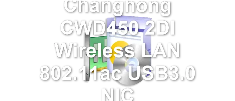 Realtek Changhong CWD450 2DI Wireless LAN 802.11ac USB3.0 NIC