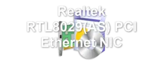 Realtek RTL8029(AS) PCI Ethernet NIC
