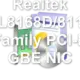Realtek RTL8168D/8111D Family PCI-E GBE NIC