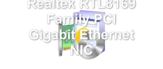Realtek RTL8169 Family PCI Gigabit Ethernet NIC