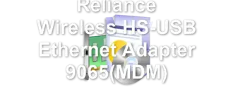 Reliance Wireless HS-USB Ethernet Adapter 9065(MDM)
