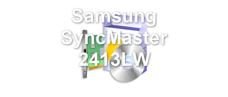 Samsung SyncMaster 2413LW