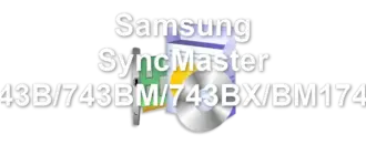 Samsung SyncMaster 743B/743BM/743BX/BM1743