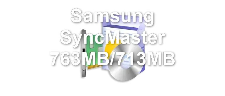 Samsung SyncMaster 763MB/713MB