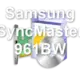 Samsung SyncMaster 961BW