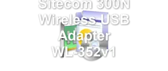 Sitecom 300N Wireless USB Adapter WL-352v1